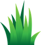 Grass Pitch